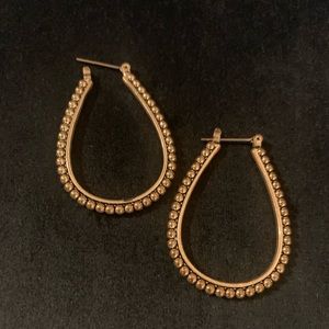 Two tone oval hoops